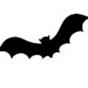 Meet your Posher, Daisy